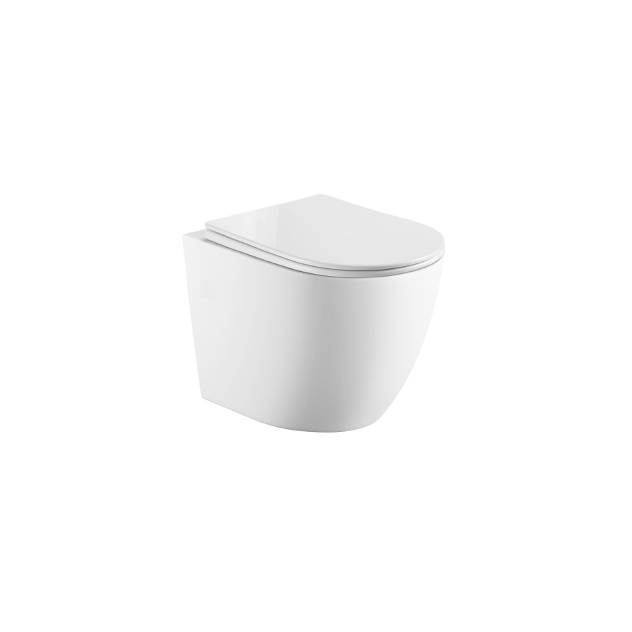 Wall Hung Rimless Toilet with Soft Close Seat, Brushed Bronze Pneumatic Flush Plate, 820mm Frame & Cistern – Roma