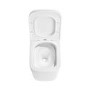 Back to Wall Toilet with Black Glass Cabinet, Cistern & Pneumatic Dual Flush Button - Albi