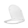 Wall Hung Rimless Toilet with Soft Close Seat – Roma