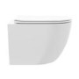 Wall Hung Rimless Toilet with Soft Close Seat – Roma