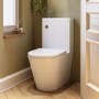 Close Coupled Closed Back Toilet with Sink on Top & Chrome Fittings - Legend