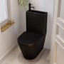 Matt Black Close Coupled Closed Back Toilet with Black Fittings & Sink on Top - Legend
