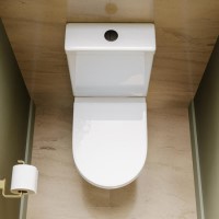 Close Coupled Rimless Closed Back Short Projection Toilet with Black Button and Tornado Flush - Newport