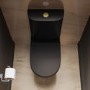 Matt Black Close Coupled Rimless Open Back Short Projection Toilet with Brushed Brass Button and Tornado Flush - Newport