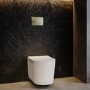 Fluted Wall Hung Rimless Toilet with Soft Close Seat, Brushed Brass Pneumatic Flush Plate, 1168mm Frame & Cistern – Oregon