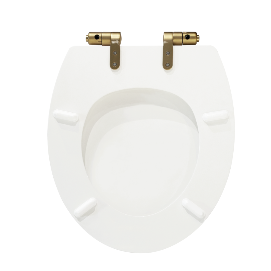 Close Coupled Traditional Toilet with Wooden Soft Close Seat & Brass Fittings - Park Royal
