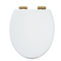Close Coupled Traditional Toilet with Wooden Soft Close Seat & Brass Fittings - Park Royal