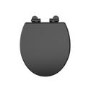 Traditional High Level Short Projection Toilet with Black Wooden Soft Close Seat - Park Royal