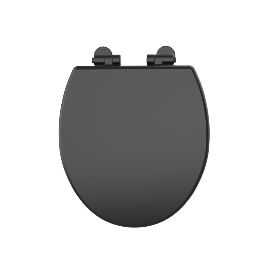 Traditional High Level Short Projection Toilet with Black Wooden Soft Close Seat - Park Royal