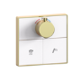 Brushed Brass 2 Outlet Concealed Mixer Shower Set With Hand Shower - Priya