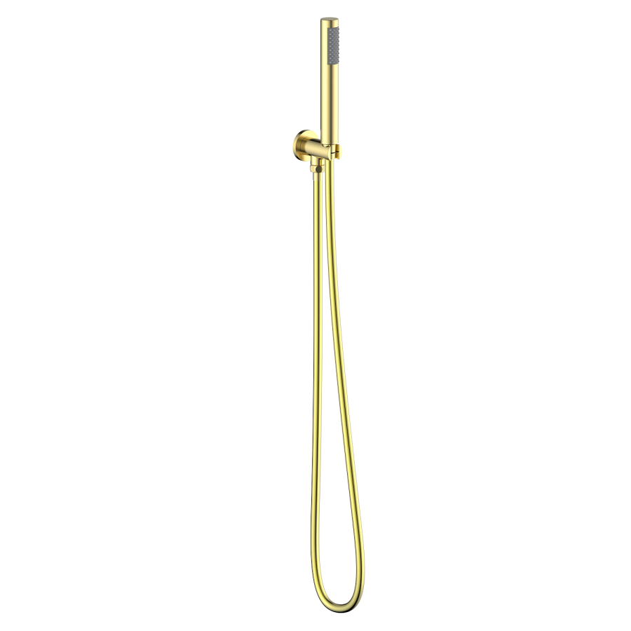 Brushed Brass 2 Outlet Concealed Mixer Shower Set With Hand Shower - Priya