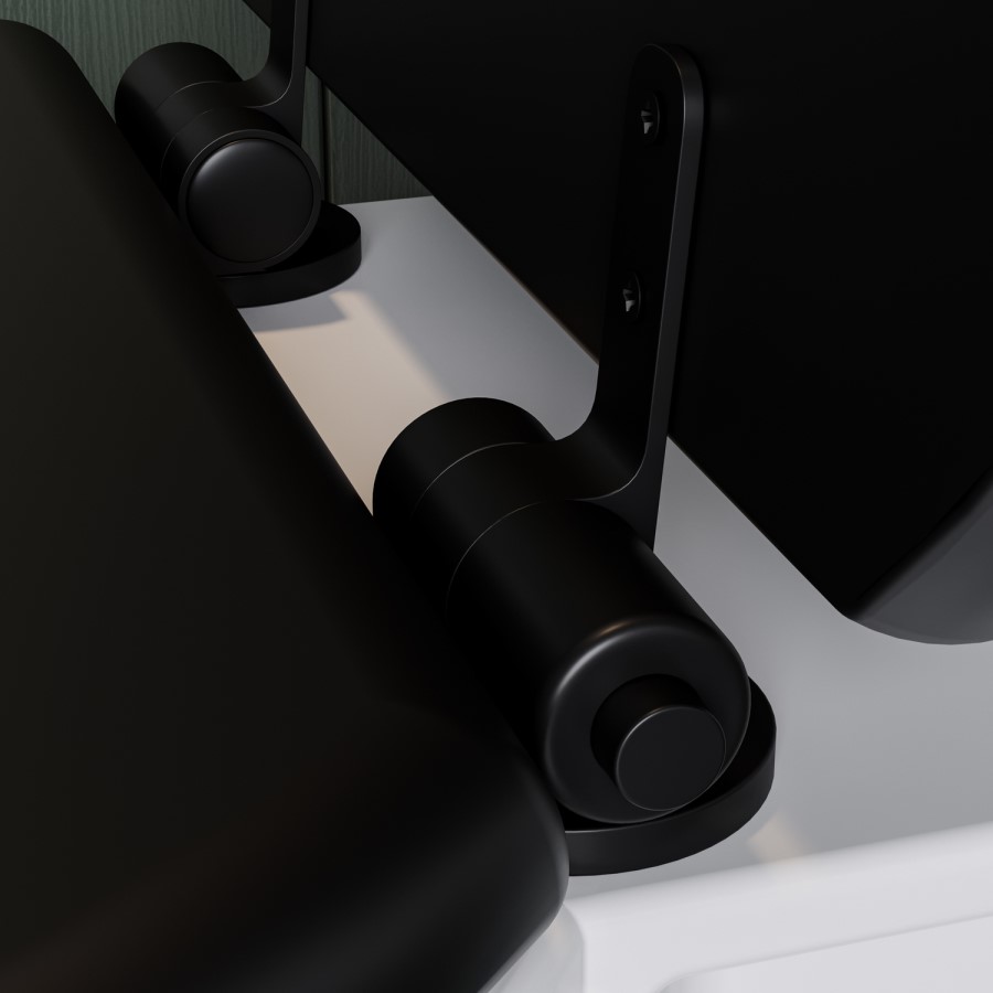 Back to Wall Rimless Toilet and Black Wooden Soft Close Seat – Ripley