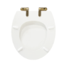 Back to Wall Rimless Toilet and Soft Close Seat with Brushed Brass Hinges - Ripley