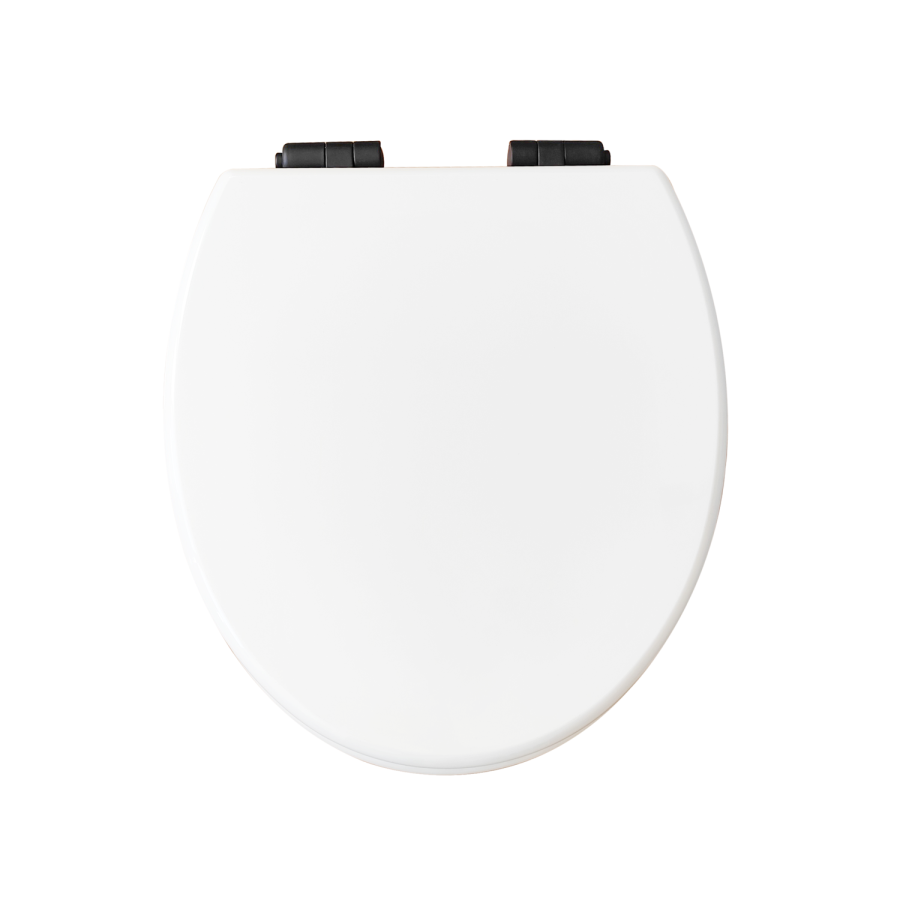 Close Coupled Rimless Toilet with Soft Close Seat and Matt Black Fittings - Ripley