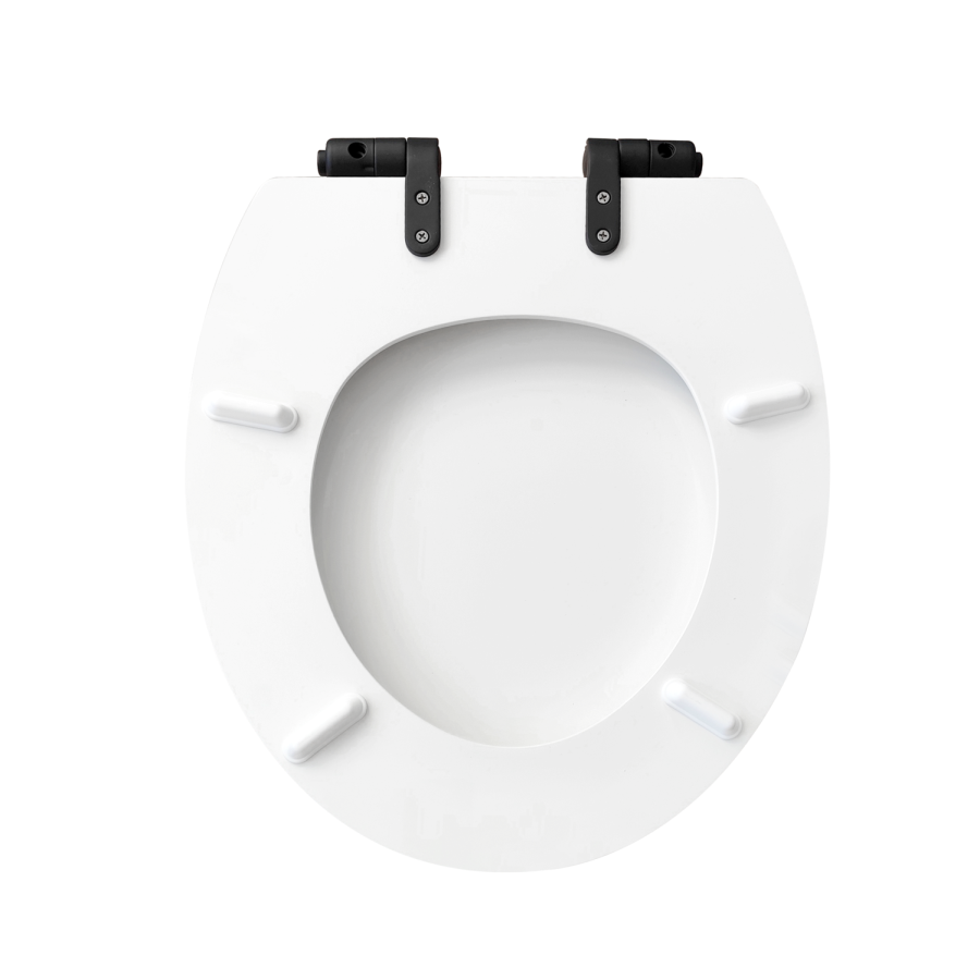 Close Coupled Rimless Toilet with Soft Close Seat and Matt Black Fittings - Ripley