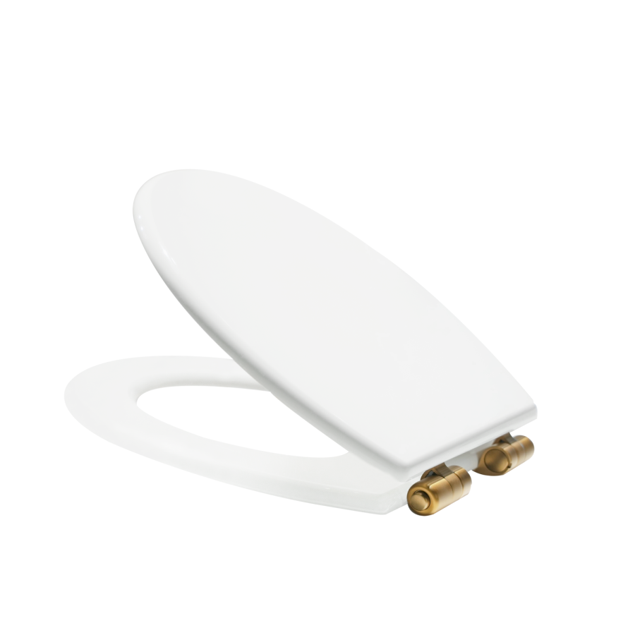 Close Coupled Rimless Toilet with Soft Close Seat and Brushed Brass Fittings - Ripley