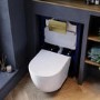 Wall Hung Rimless Toilet with Soft Close Seat, Brushed Brass Pneumatic Flush Plate, 820mm Frame & Cistern – Roma