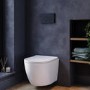 Wall Hung Rimless Toilet with Soft Close Seat, Black Mechanical Flush Plate, 1168mm Frame & Cistern – Roma