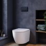Wall Hung Rimless Toilet with Soft Close Seat, Black Pneumatic Flush Plate, 1168mm Frame & Cistern – Roma