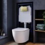 Wall Hung Rimless Toilet with Soft Close Seat, Brushed Brass Pneumatic Flush Plate, 1168mm Frame & Cistern – Roma