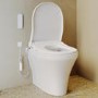 Tanya Back to Wall Smart Bidet Japanese Toilet with Heated Seat - Purificare