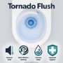 Close Coupled Rimless Closed Back Toilet with Tornado Flush - Tanya