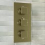Brushed Brass 2 Outlet Concealed Thermostatic Shower Valve With Triple Control - Zana