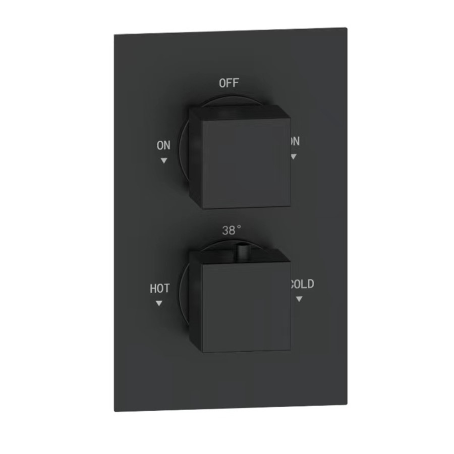 Matt Black 2 Outlet Thermostatic Mixer Shower Set With Wall Mounted 250mm Shower Head and Bath Filler Spout - Zana