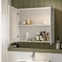 Double Door White Bathroom Mirror Cabinet  667 x 600mm - Westbury