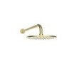 250mm Shower Head and Wall Arm Brushed Brass