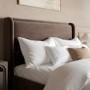 Chocolate Brown Velvet Double Ottoman Bed with Cushioned Headboard - Frida