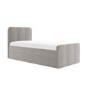 Grey Velvet Single Guest Bed with Trundle and 1 Mattress - Layla