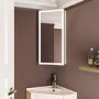 Single Door Corner Brass Bathroom Mirror Cabinet with Lights 300 x 600mm - Lykos