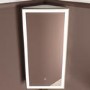Single Door Corner Brass Bathroom Mirror Cabinet with Lights 300 x 600mm - Lykos