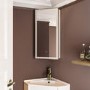 Single Door Corner Brass Bathroom Mirror Cabinet with Lights 300 x 600mm - Lykos
