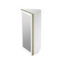 Single Door Corner Brass Bathroom Mirror Cabinet with Lights 300 x 600mm - Lykos