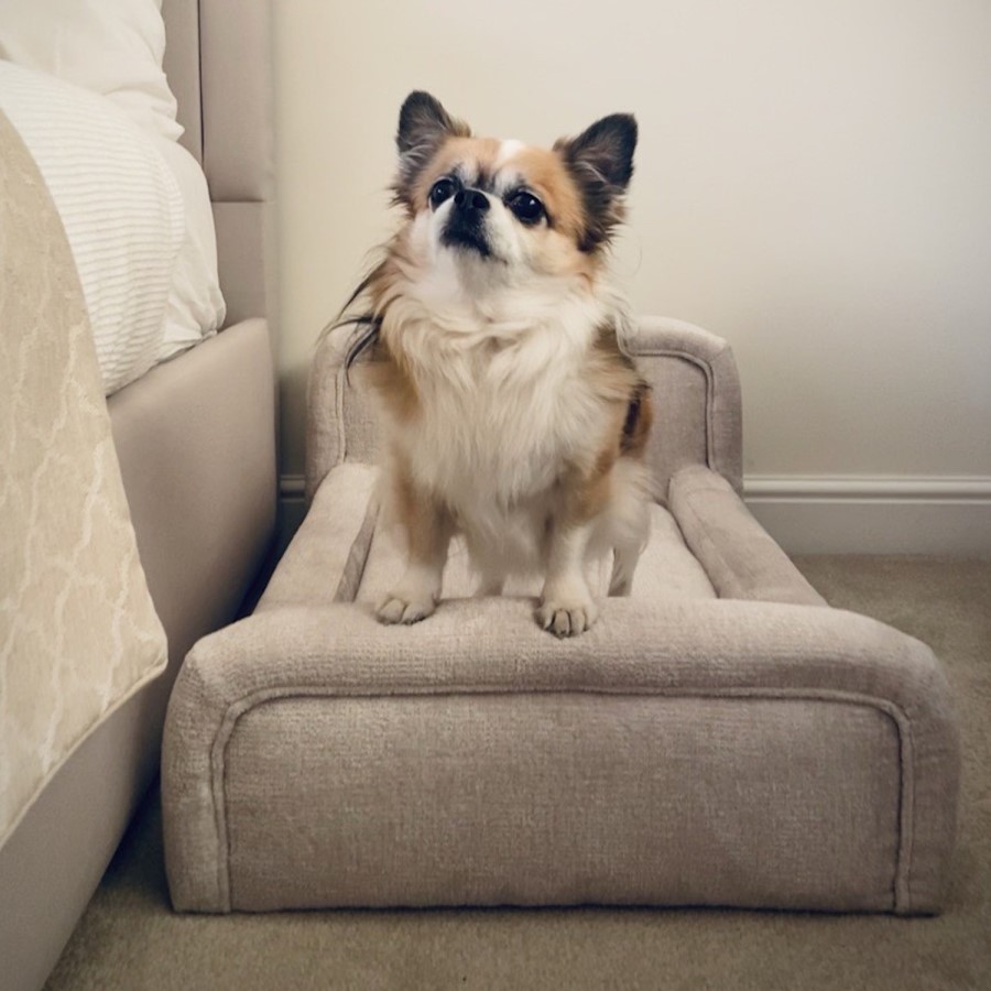 Small Dog Bed in Cream Textured Fabric with Washable Cover - Naomi