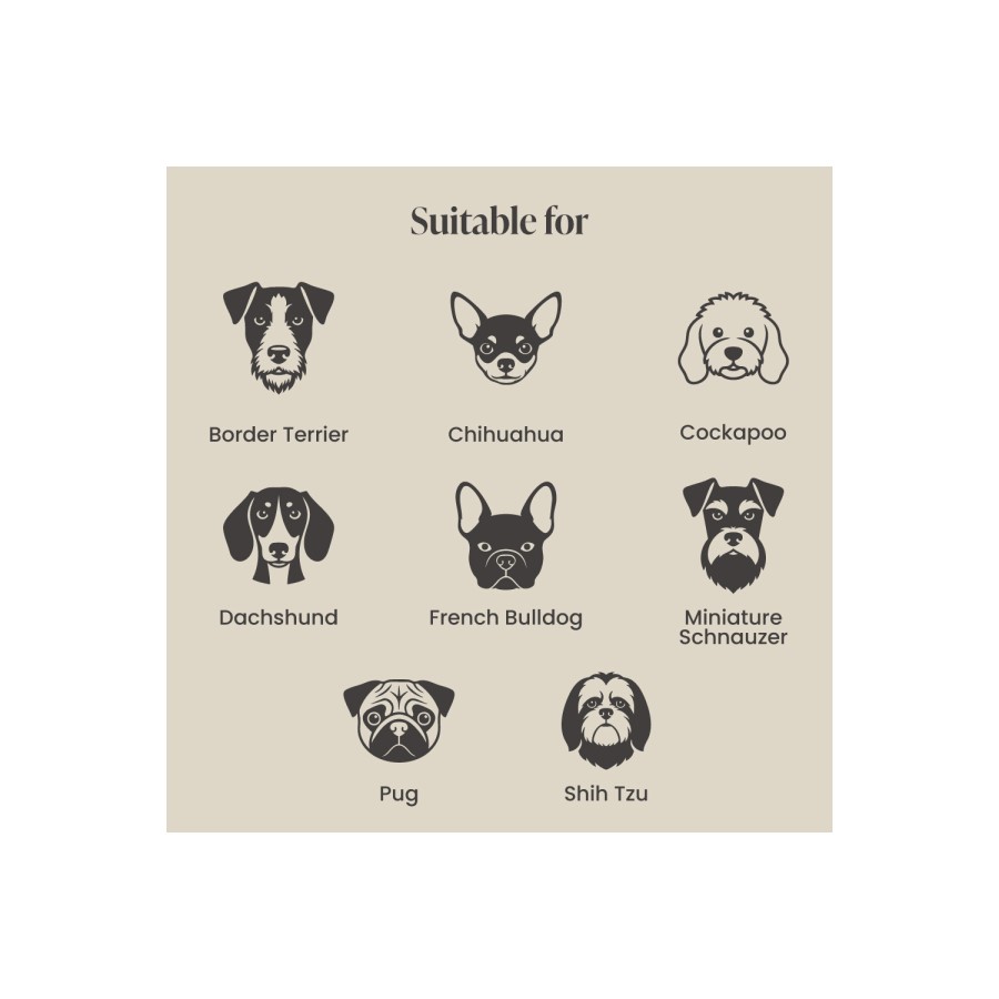 Small Dog Bed in Cream Textured Fabric with Washable Cover - Naomi