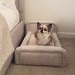Small Dog Bed in Cream Textured Fabric with Washable Cover - Naomi