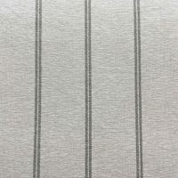 Grey Stripe