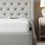 Pink Velvet Single Guest Bed with Trundle and 1 Mattress - Layla