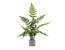 Artificial plants & flowers